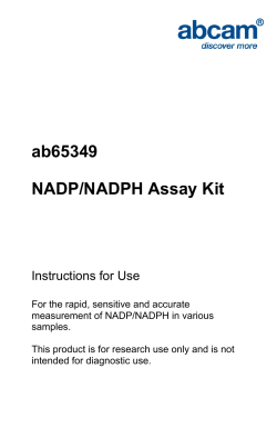 ab65349 NADP/NADPH Assay Kit