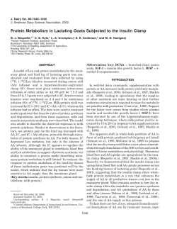 Protein Metabolism in Lactating Goats Subjected to the Insulin Clamp