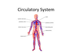 Circulatory System