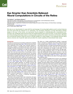 Eye Smarter than Scientists Believed: Neural Computations in
