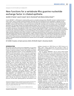 New functions for a vertebrate Rho guanine nucleotide exchange