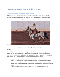 Photographic Panning - Coastal Carolina Camera Club