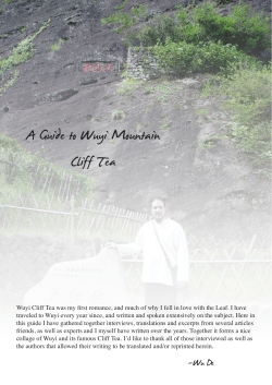 A Guide to Wuyi Mountain Cliff Tea