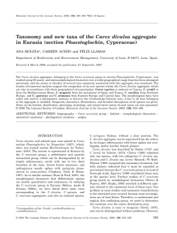 Taxonomy and new taxa of the Carex divulsa aggregate in Eurasia