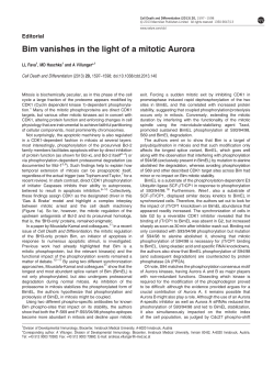 Bim vanishes in the light of a mitotic Aurora
