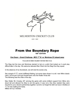 From the Boundary Rope - Milnerton Cricket Club