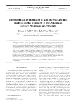 Full text in pdf format