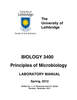 Laboratory Manual - U of L Personal Web Sites