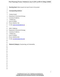 Running Head: Water transport and xylem function
