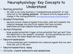 Neurophysiology - Seattle Central College