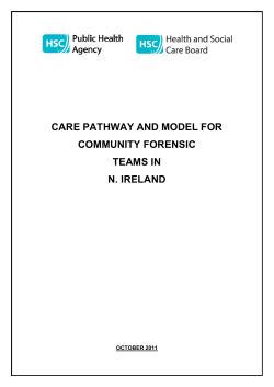 Care Pathway and Model for Community Forensic Teams in NI