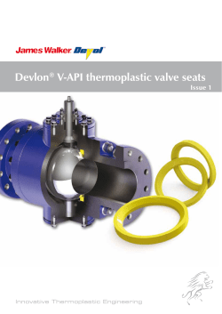 Devlon&reg; V-API thermoplastic valve seats