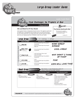 Large-Group Leader Guide