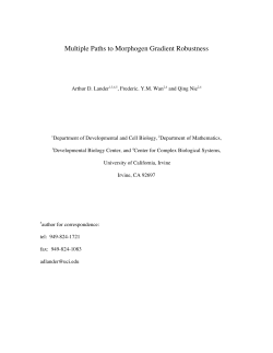 Multiple Paths to Morphogen Gradient Robustness