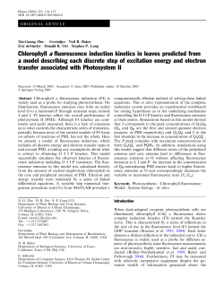 Chlorophyll a fluorescence induction kinetics in leaves predicted
