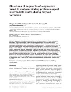 Structures of segments of synuclein fused to maltosebinding