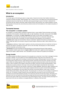 "What is an ecosystem" pdf file