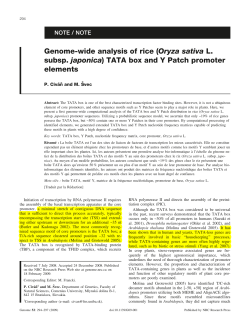Genome-wide analysis of rice (Oryza sativa L. subsp. japonica