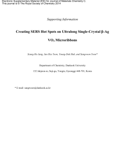 Supporting Information Creating SERS Hot Spots on Ultralong