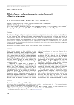 Effects of sugars and growth regulators on in vitro growth of