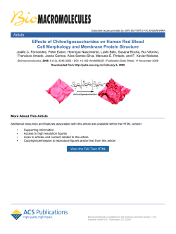 Effects of Chitooligosaccharides on Human Red Blood Cell