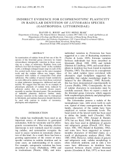 indirect evidence for ecophenotypic plasticity in radular dentition of