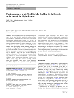 Plant economy at a late Neolithic lake dwelling site in Slovenia at