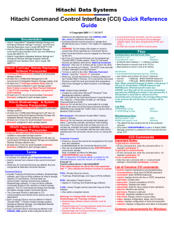 Hitachi Command Control Interface (CCI)