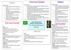 The Amazon Rainforest (Brazil)