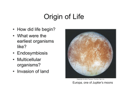 Origin of Life