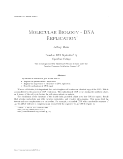 Molecular Biology - DNA Replication