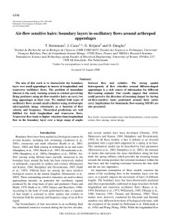 Air-flow sensitive hairs: boundary layers in oscillatory flows around