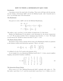 HOW TO WRITE A DETERMINANT QMC CODE Introduction I am
