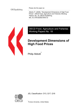 Development Dimensions of High Food Prices