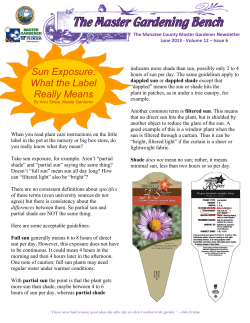 Sun Exposure: What the Label Really Means