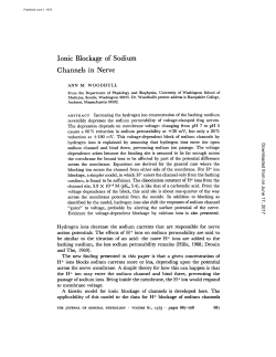 Ionic Blockage of Sodium Channels in Nerve