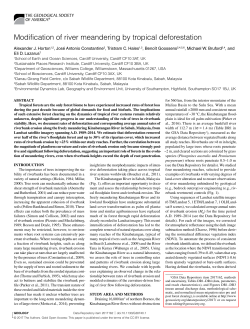 Modification of river meandering by tropical deforestation