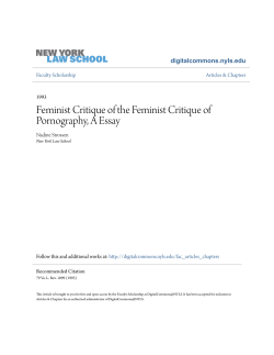Feminist Critique of the Feminist Critique of Pornography, A Essay