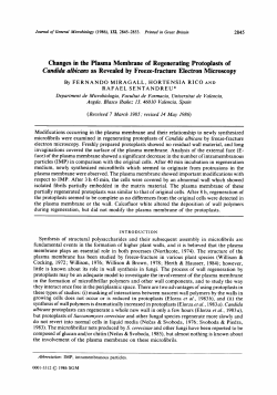 Changes in the Plasma Membrane of Regenerating