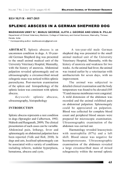SPLENIC ABSCESS IN A GERMAN SHEPHERD DOG