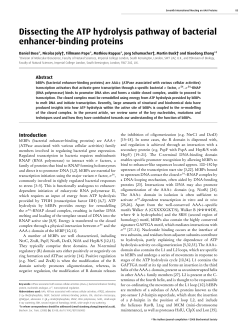 Dissecting the ATP hydrolysis pathway of bacterial enhancer