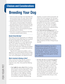Breeding Your Dog