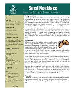 Seed Necklace - Alabama Wildlife Federation