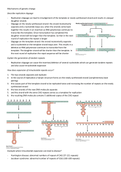 Mechanisms of genetic change Describe replication slippage
