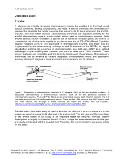Chemotaxis Assay - MIT OpenCourseWare