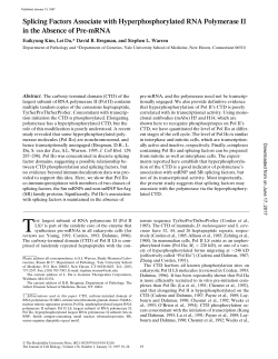 Splicing Factors Associate with Hyperphosphorylated RNA