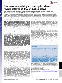Genome-wide modeling of transcription kinetics reveals patterns of