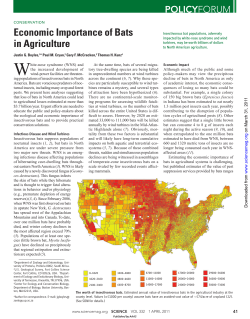 Economic Importance of Bats in Agriculture