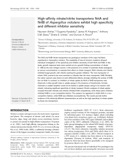 High-affinity nitrate/nitrite transporters NrtA and NrtB