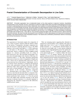 Fractal Characterization of Chromatin Decompaction in Live Cells